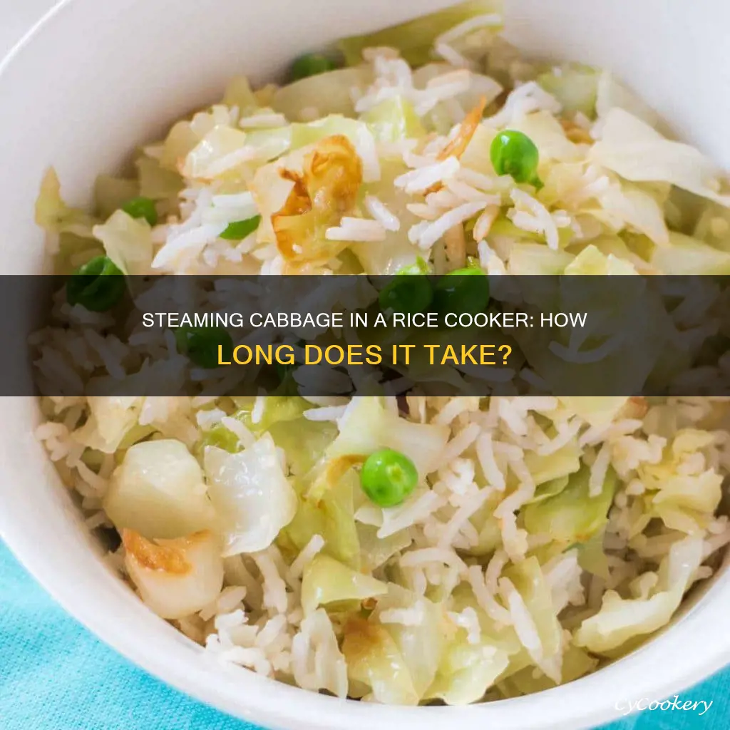 how long to steam cabbage in rice cooker