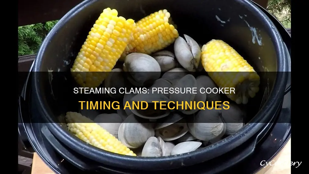 how long to steam clams in pressure cooker