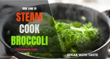 Steaming Broccoli: How Long Before It's Perfect?