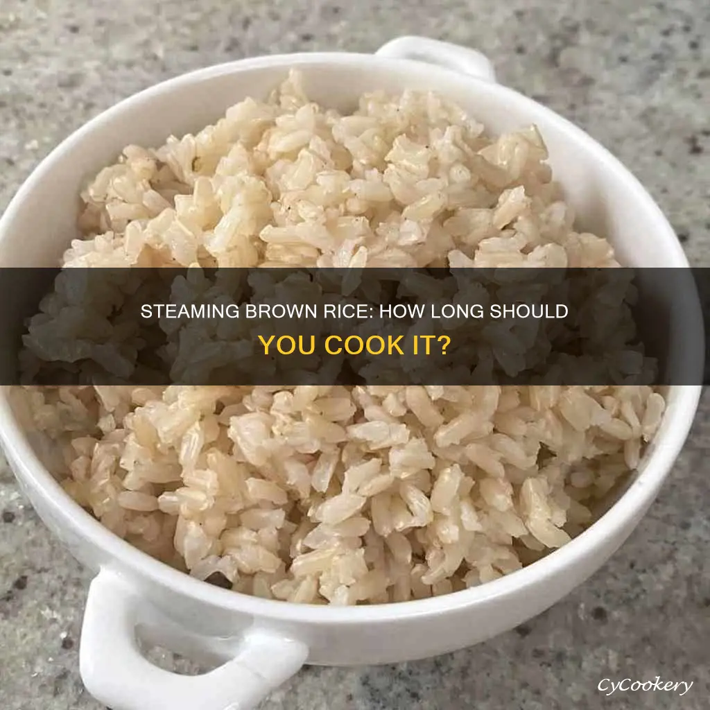 how long to steam cook brown rice