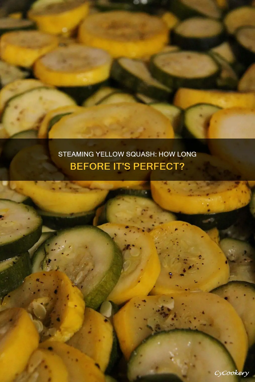 how long to steam cook fresh yellow squash