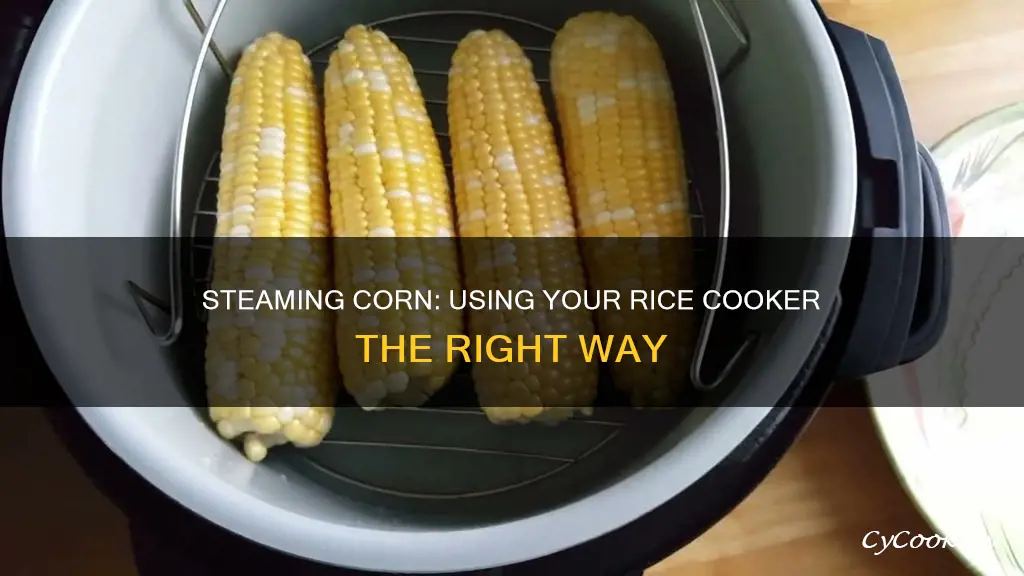 how long to steam corn in rice cooker