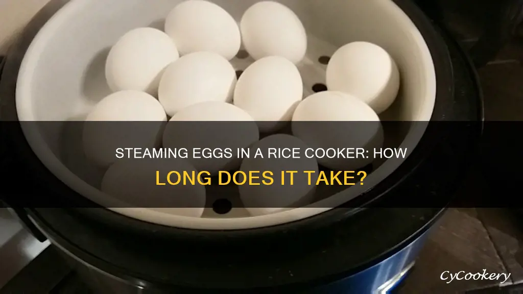 how long to steam eggs in rice cooker