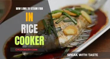 Steaming Fish in a Rice Cooker: How Long?