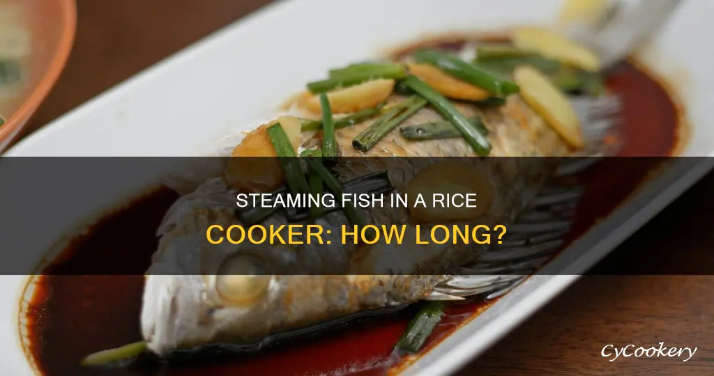 how long to steam fish in rice cooker