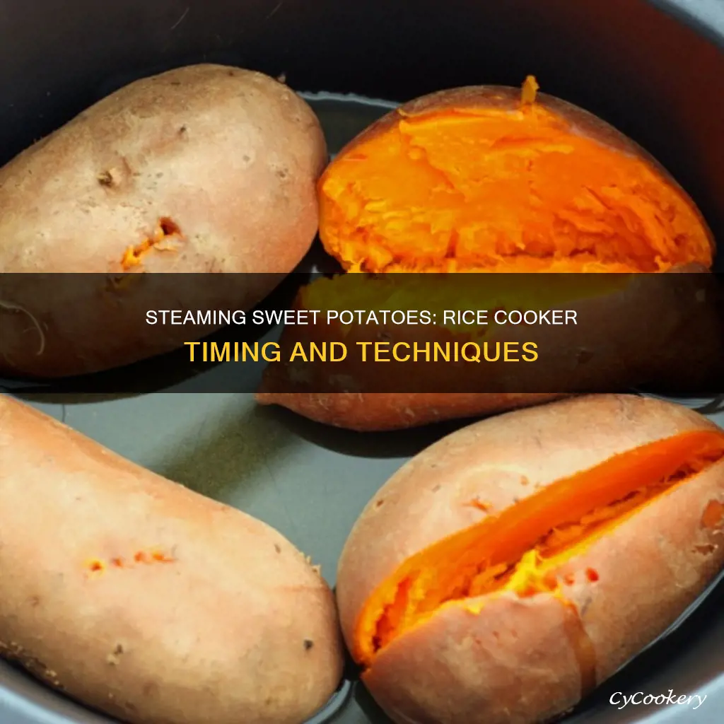 how long to steam sweet potato in rice cooker