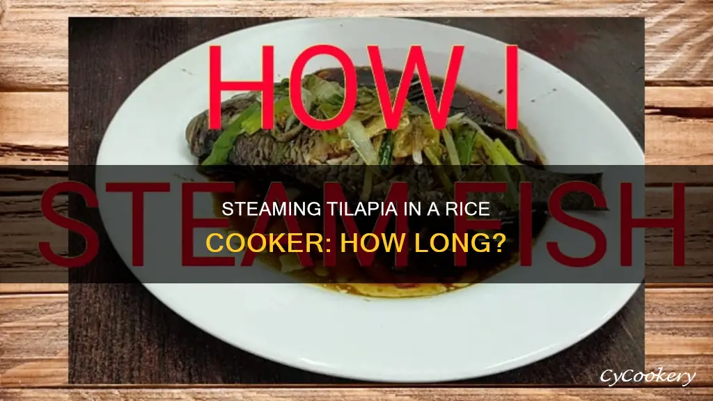 how long to steam tilapia in rice cooker