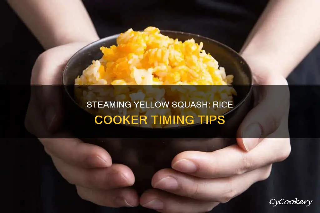 how long to steam yellow squash in rice cooker