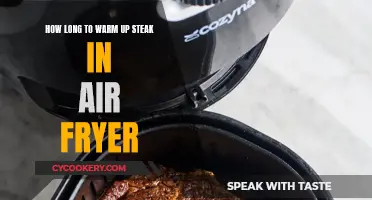 Air Fryer Warm-Up: Steak Perfection in Minutes