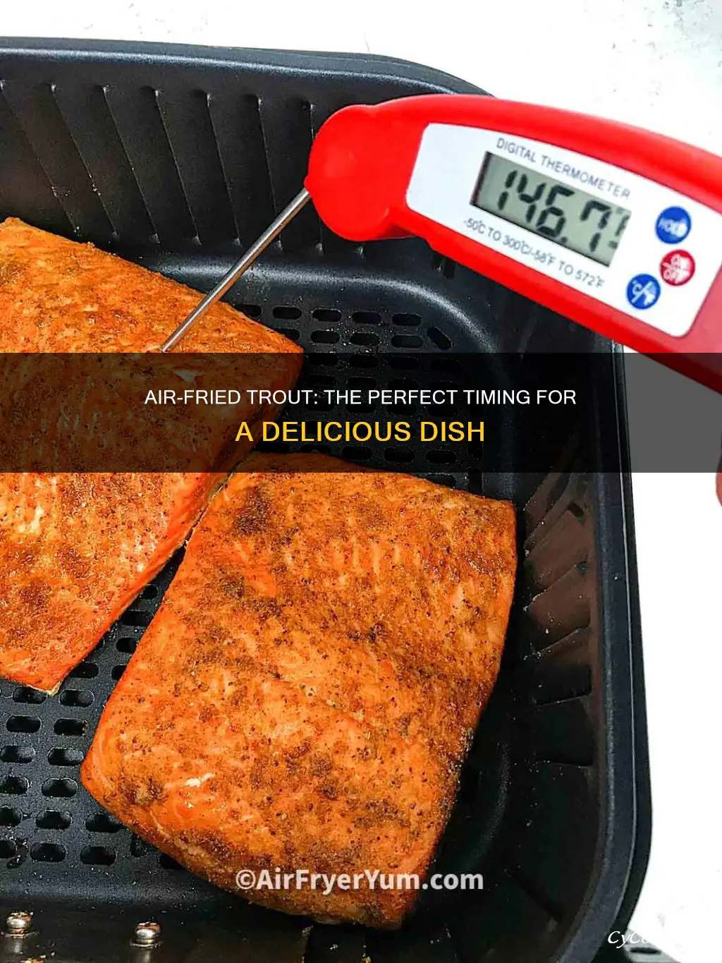 how long trout in air fryer