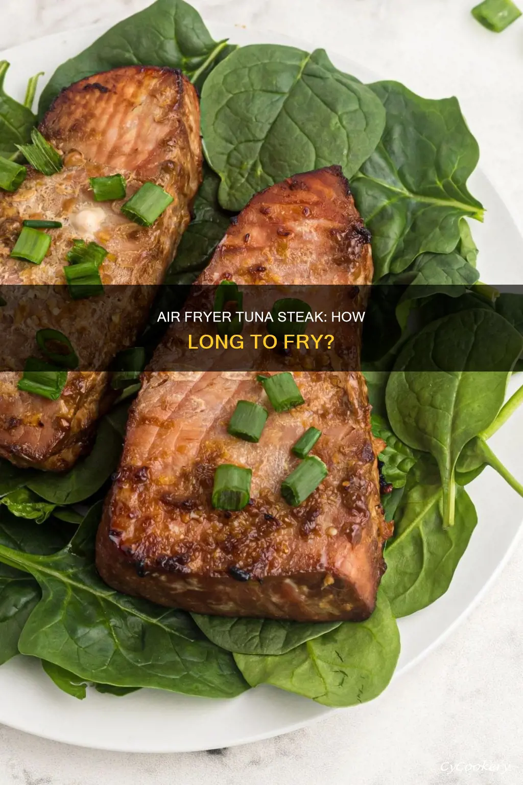 how long tuna steak in air fryer