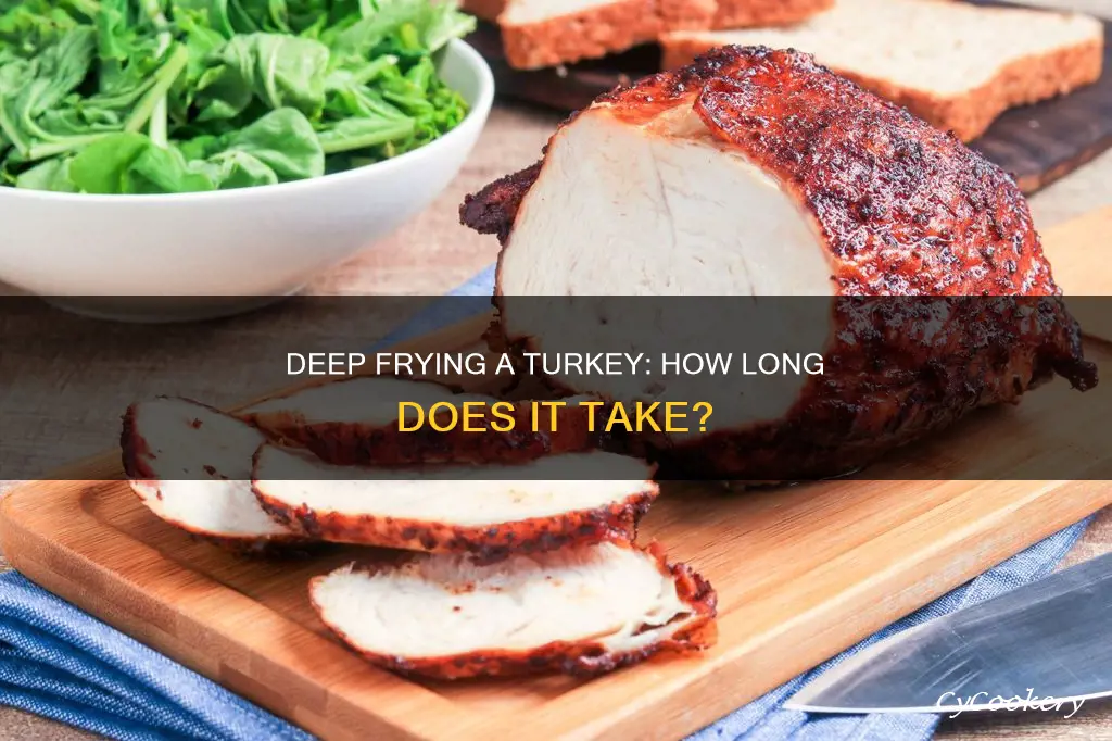 how long turkey breast deep fryer