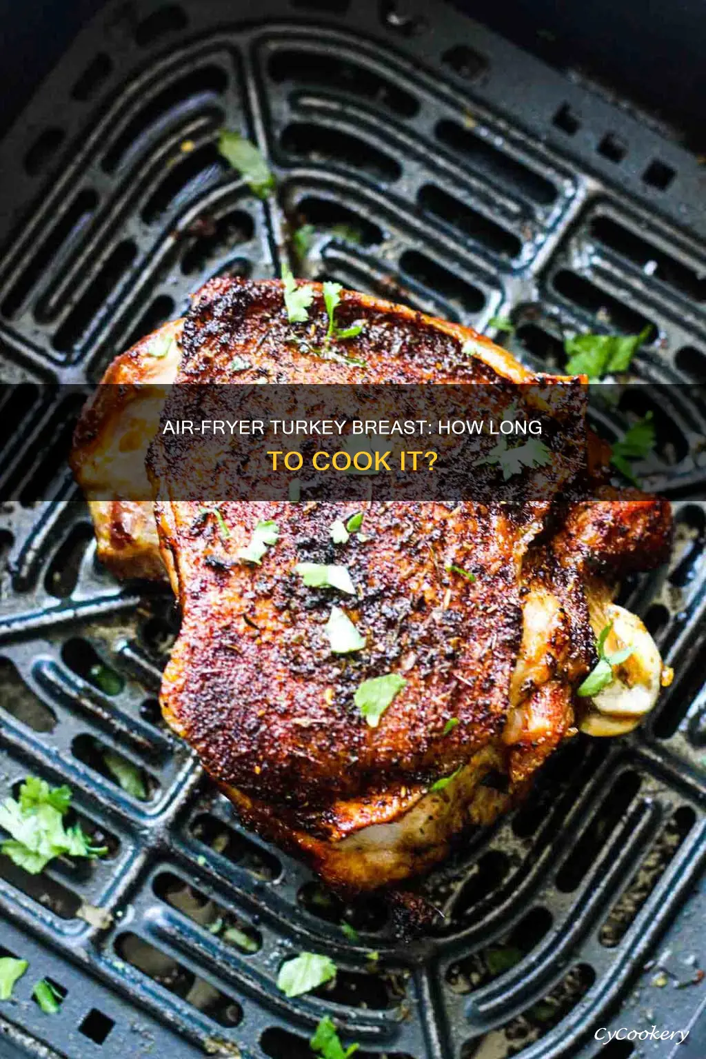 how long turkey breast in air fryer