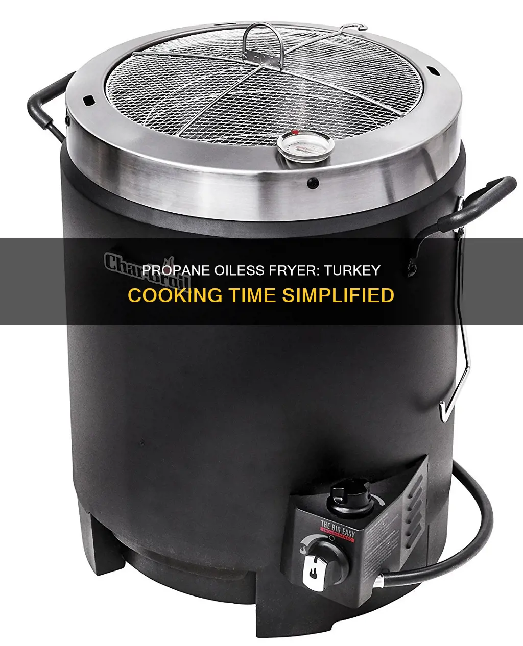 how long turkey in propane oiless fryer