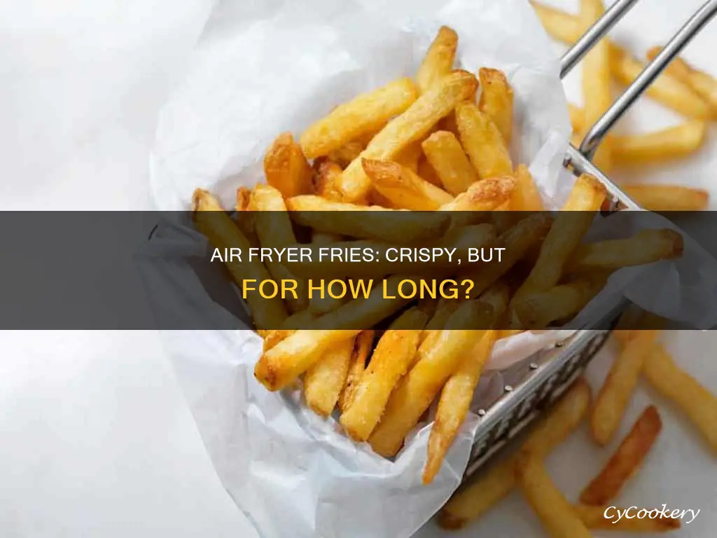 how long will air fryer fries stay crispy