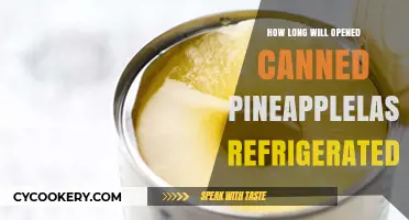 Refrigerated Canned Pineapple: Shelf Life and Storage Tips Revealed