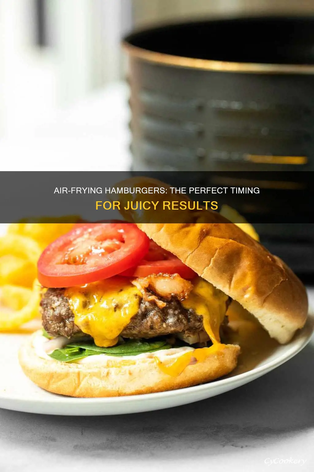 how long you cook hamburgers in air fryer