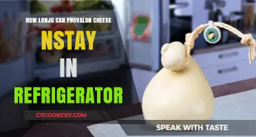 Provolone Cheese Shelf Life: Refrigerator Storage Tips and Duration