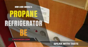 Ideal Noise Levels for Propane Refrigerators: What to Expect