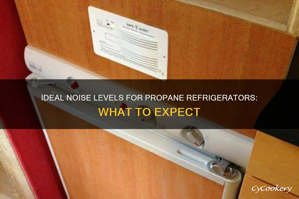 how loud should a propane refrigerator be