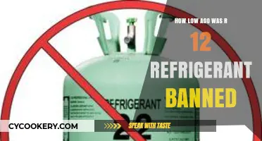 When Was R-12 Refrigerant Banned and Why It Matters Today