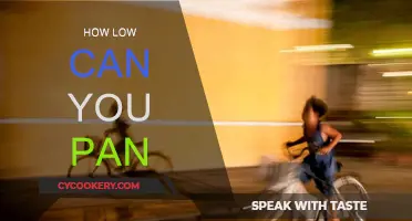 The Lower, the Better: Panning Techniques for Photographers