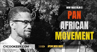 Malcolm X's Pan-African Revolution: A Legacy