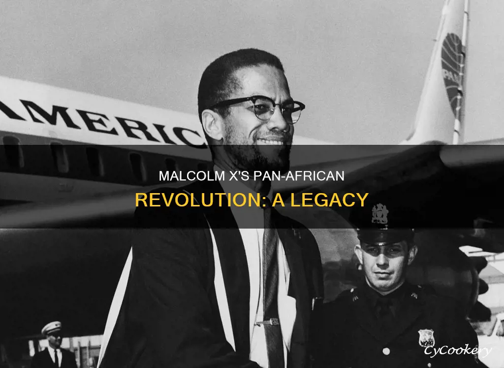 how malcolm x pan african movement