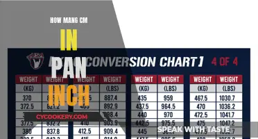 Converting Measurements: Centimeters to Inches