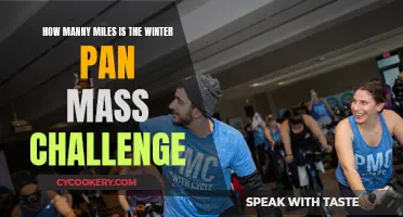 Winter Pan-Mass Challenge: A Mile-Long Adventure