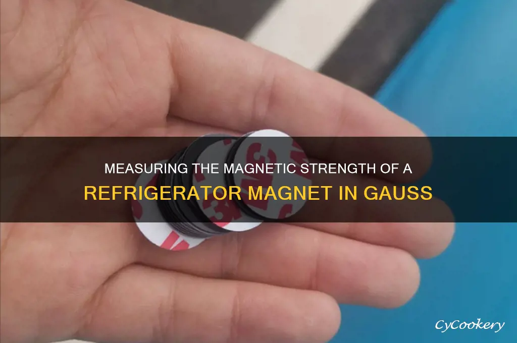 how mant gauss in a refrigerator magnet