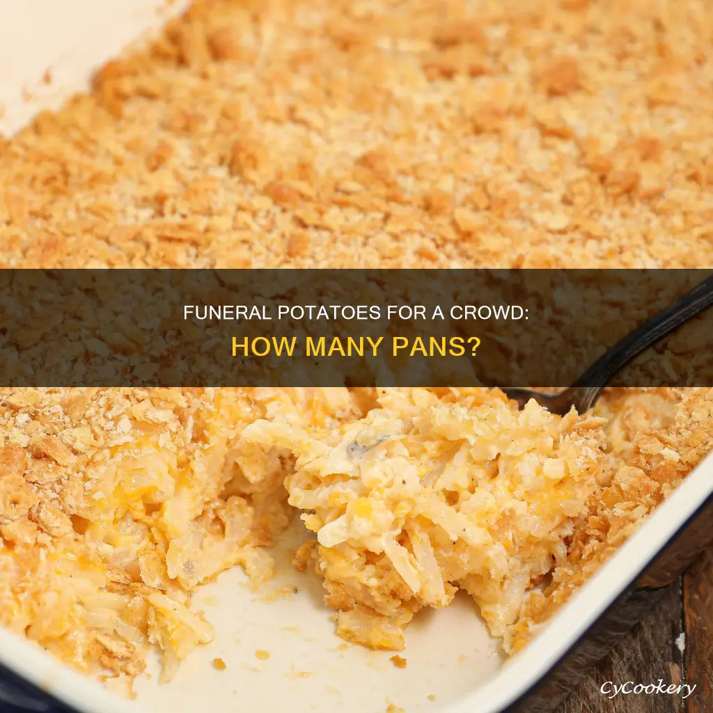 how many 9x13 pans of funeral potatoes to feed 300