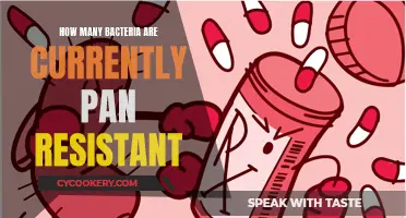 The Rise of Pan-Resistant Bacteria: A Global Concern