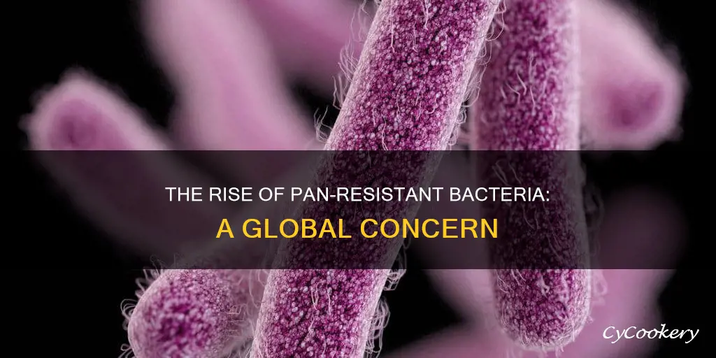 how many bacteria are currently pan resistant