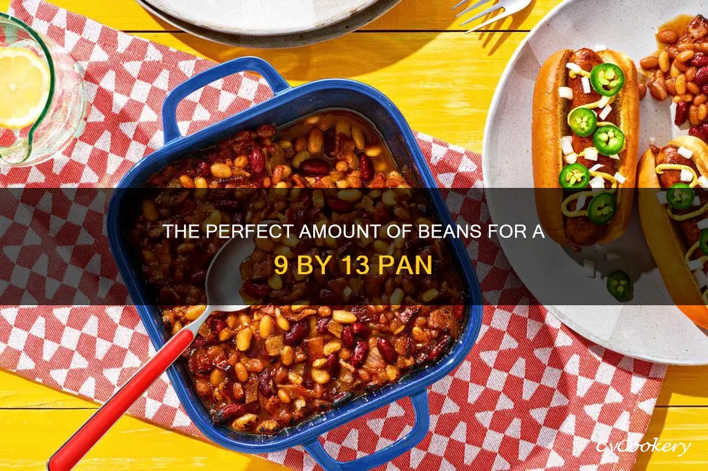 how many beans for a 9 by 13 pan