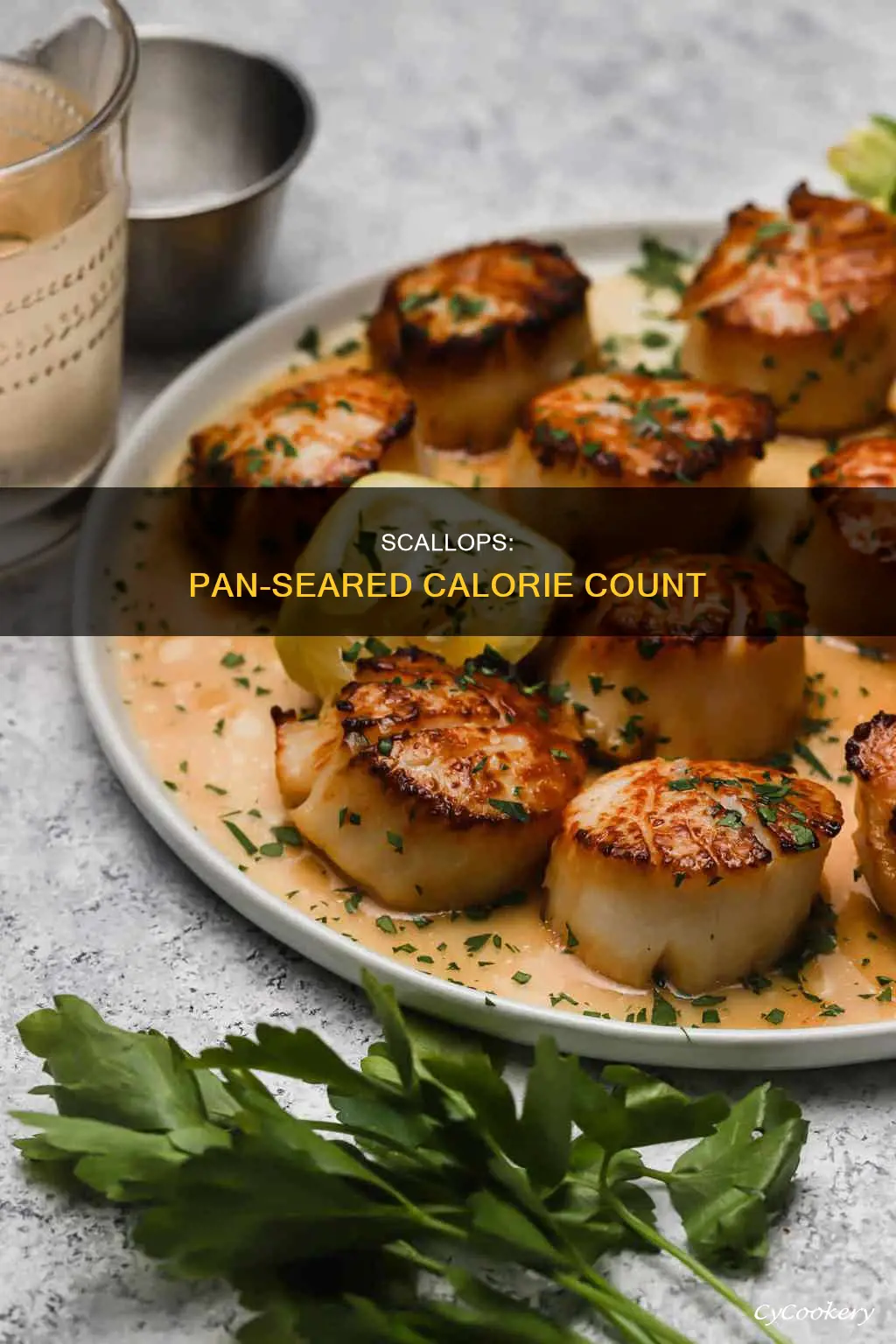 how many calories are in a pan seared scallop