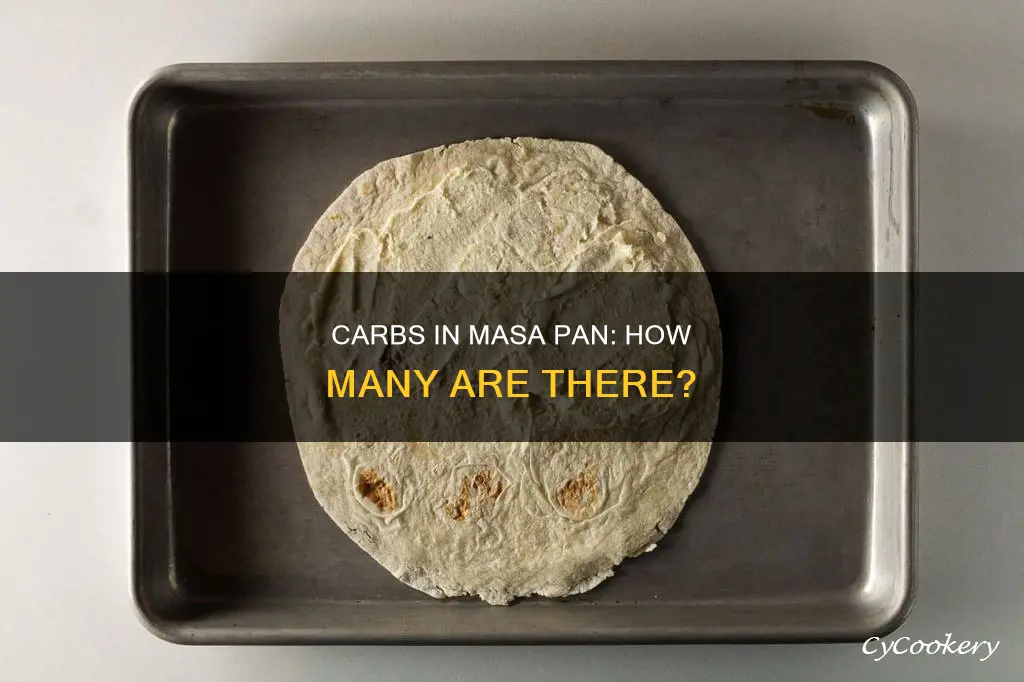 how many carbs masa pan