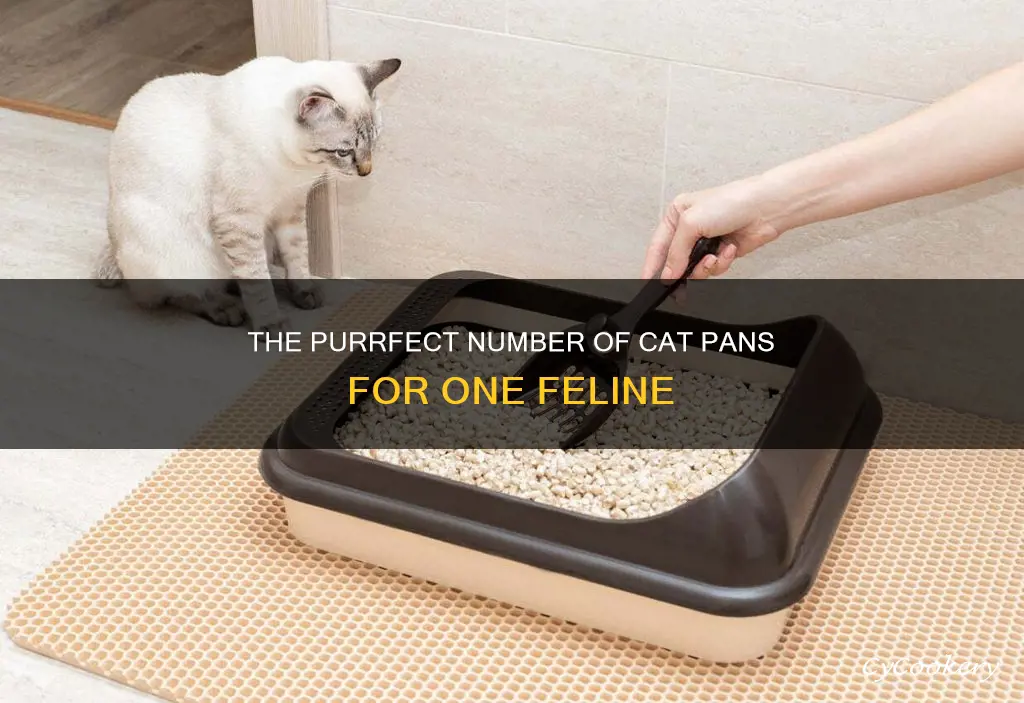 how many cat pans for one cat
