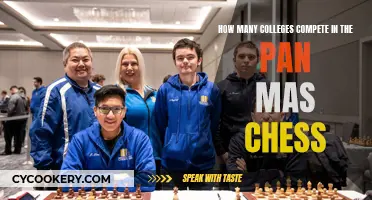Competing Colleges in Pan-Mas Chess Tournament