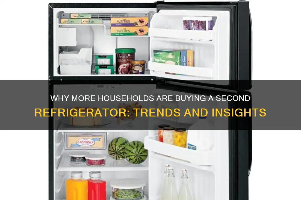 how many consumers purchase a second refrigerator