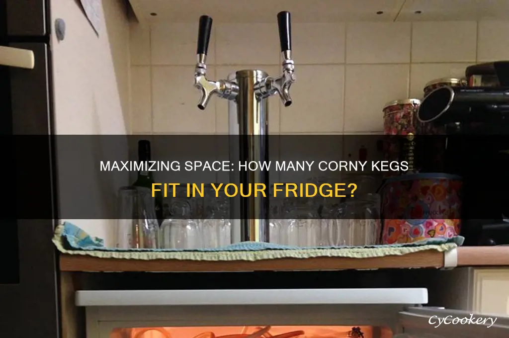 how many corny kegs fit in a refrigerator
