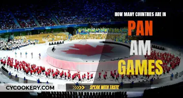 Pan Am Games: A Global Athletic Meet