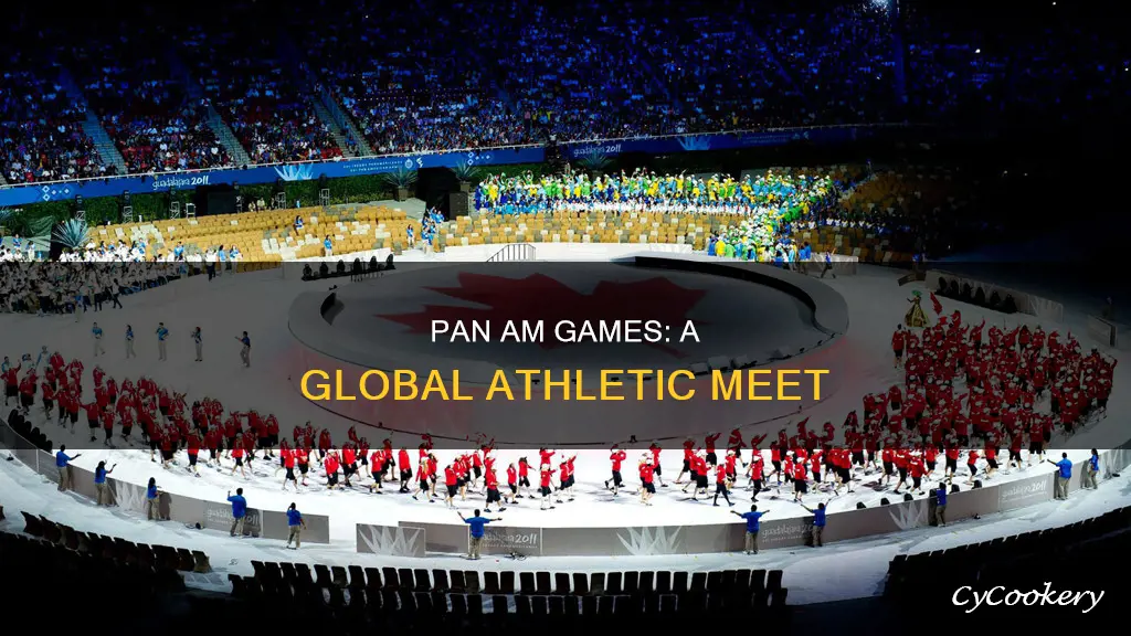 how many countries are in pan am games