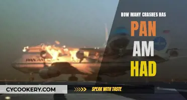 Pan Am's Crash History: A Comprehensive Overview
