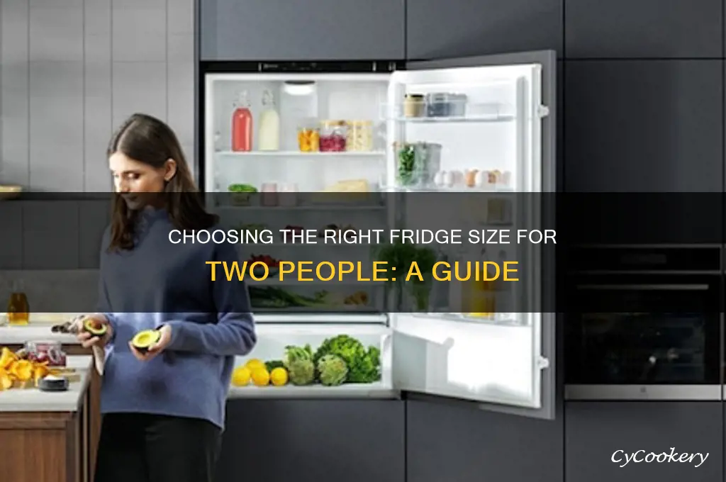 how many cu ft refrigerator for 2 people