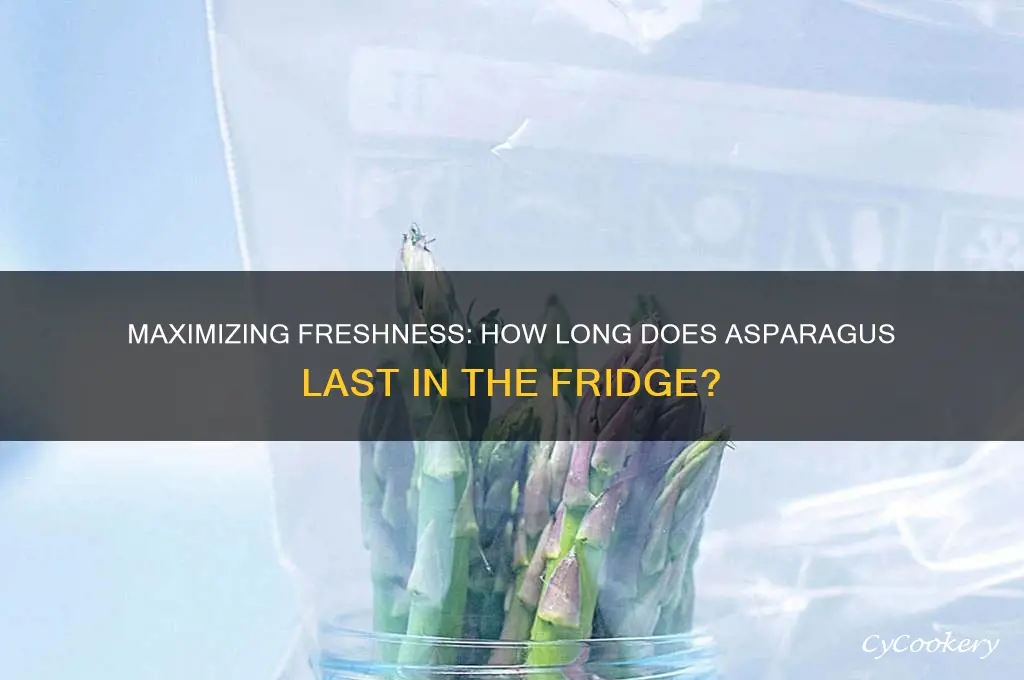 how many days can asparagus stay in the refrigerator