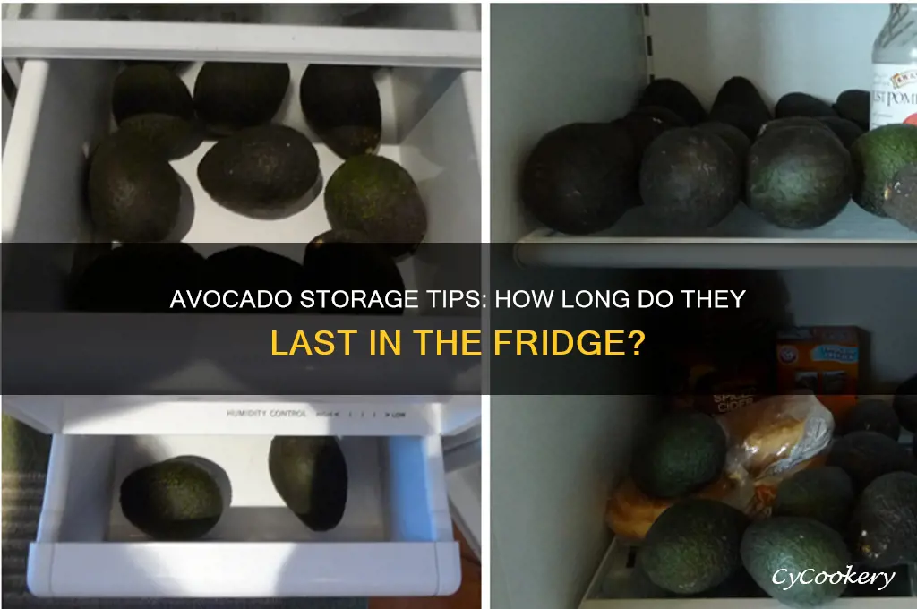 how many days can avocado stay in the refrigerator
