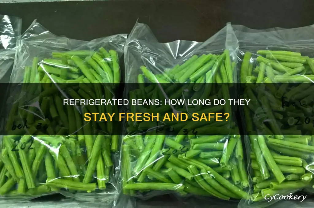 how many days can beans stay in the refrigerator