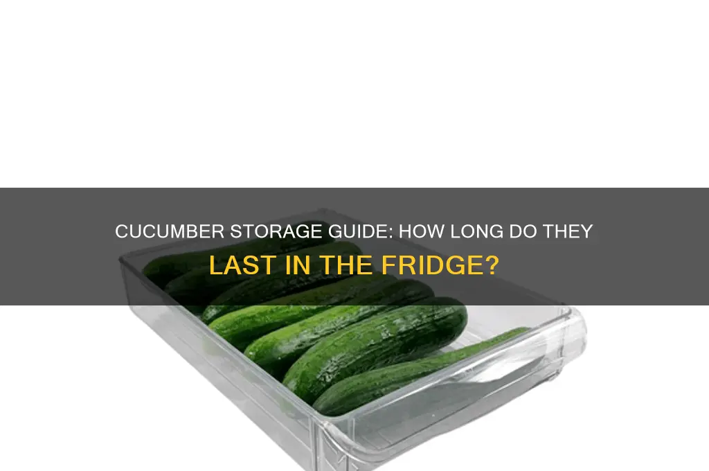 how many days can cucumber stay in the refrigerator