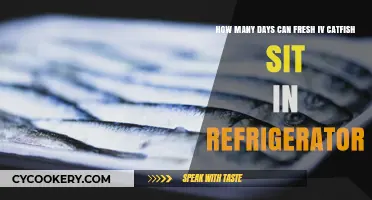 Fresh IV Catfish Storage: How Long Does It Last in the Fridge?